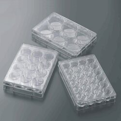 Placa CellScaffold 3D para cultivo celular tratada, multimalla y estéril