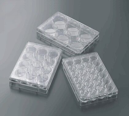 Placa CellScaffold 3D para cultivo celular tratada, multimalla y estéril