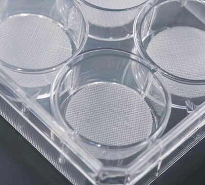 Placa CellScaffold 3D para cultivo celular tratada, multimalla y estéril - Imagen 2