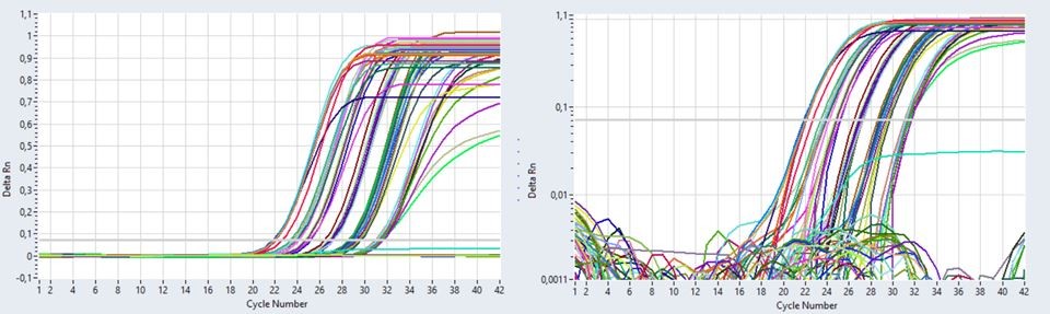 grafica-qpcr-diluciones-juntas