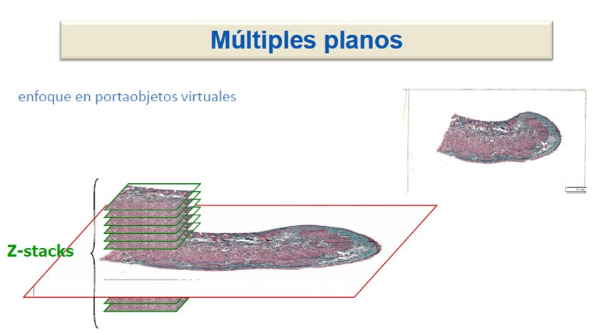 z-stracks-escaneo-multiples-capas